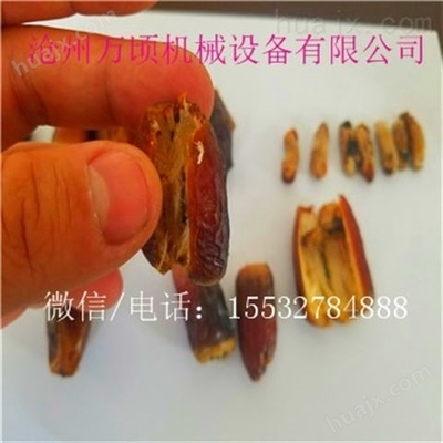 沙果干加工技术沙果核肉分离机